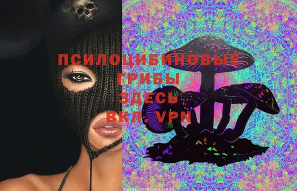 дживик Алексеевка