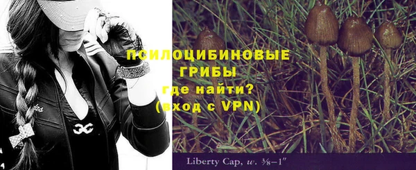 дживик Алексеевка